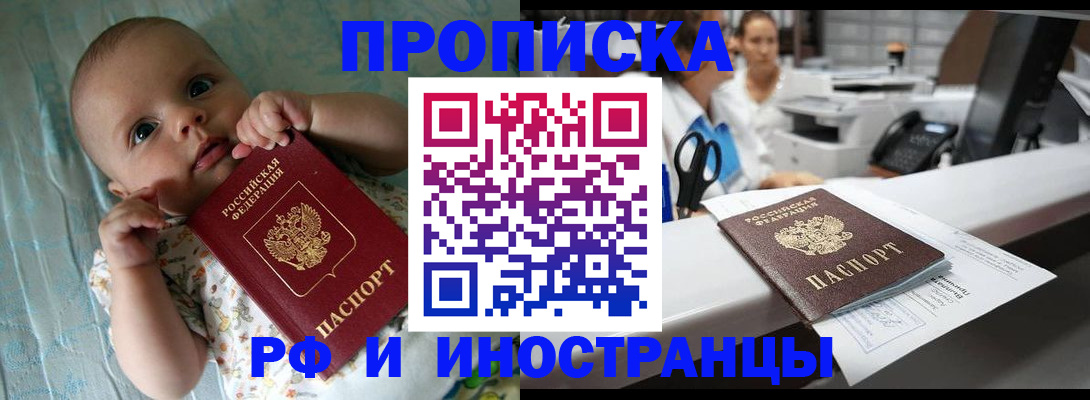 прописка поиск в Шали